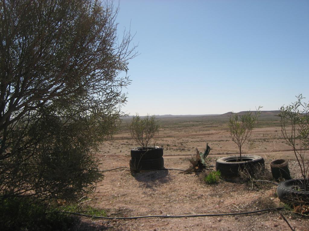 Venushill B+B Coober Pedy Exterior foto